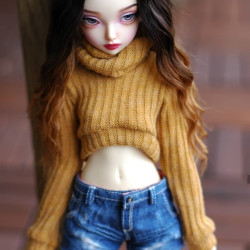 Cropped High Neck Pullover