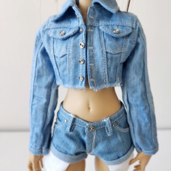 Raw Edge Cropped Denim Jacket